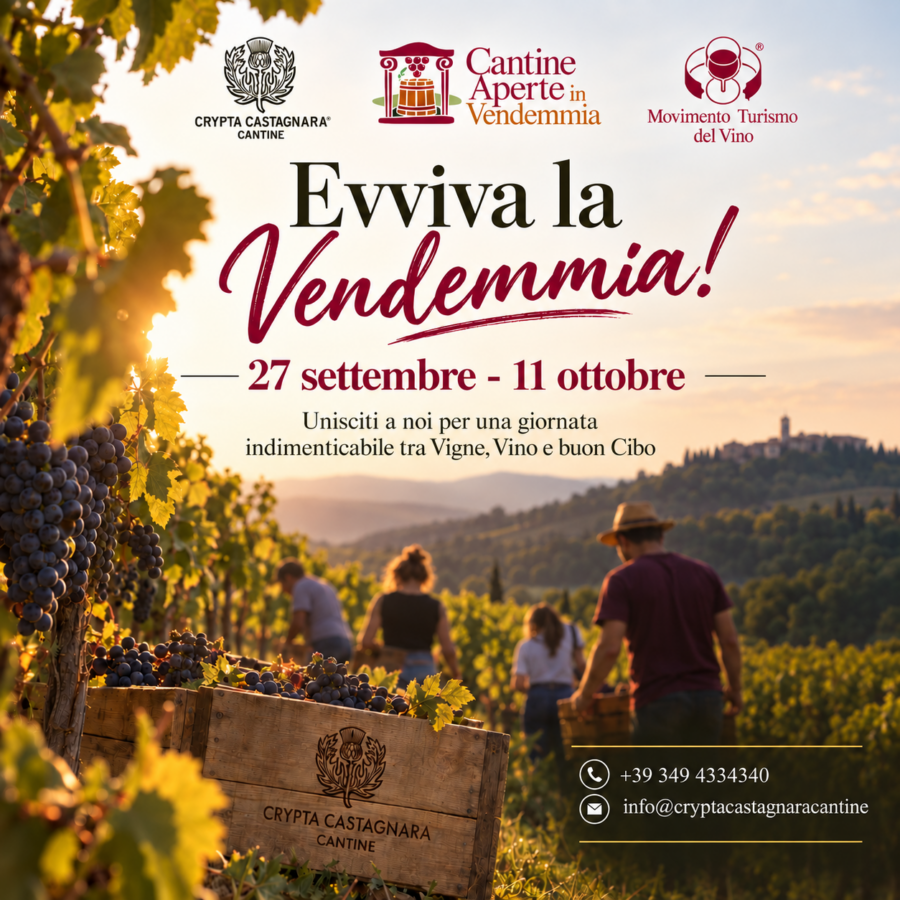 La tua esperienza da Vignaiolo: Evviva la Vendemmia!