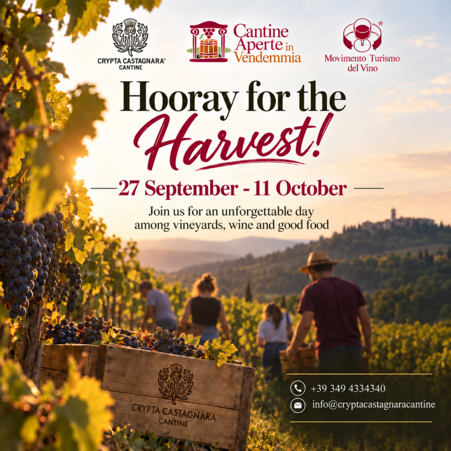 Your Winemaker Experience: Hooray for the Harvest!